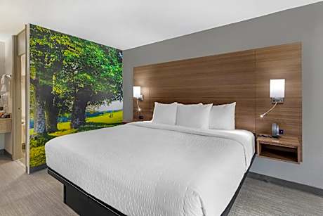 1 King Bed Nonsmoking Accessible