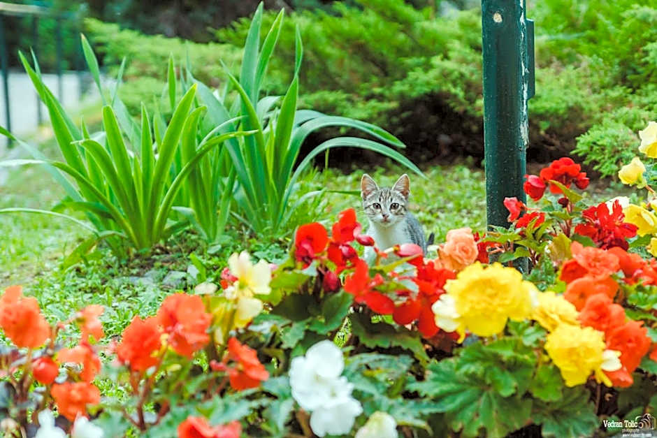 Hotel Tomislavov Dom