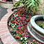Laguna Inn and Suites