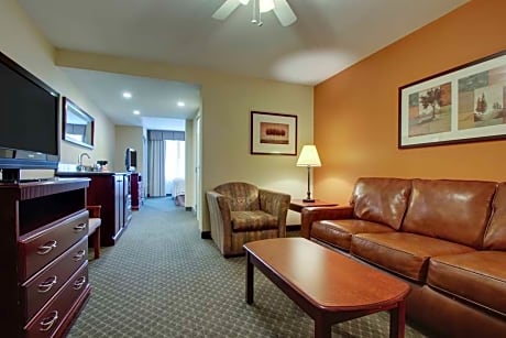 1 King Bed 1 Bedroom Suite Nonsmoking