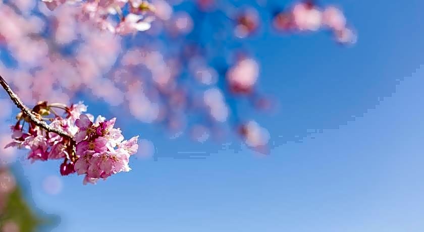 Tabist Raika Hiroshima Miyoshi