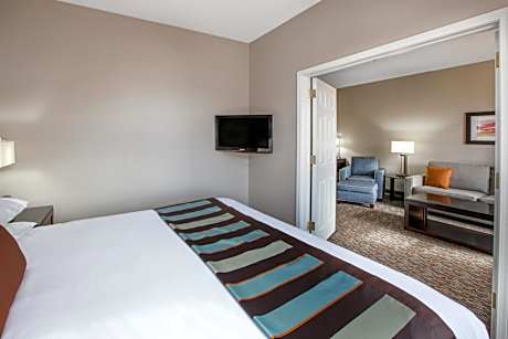 1 King Bed One-Bedroom Suite Non-Smoking