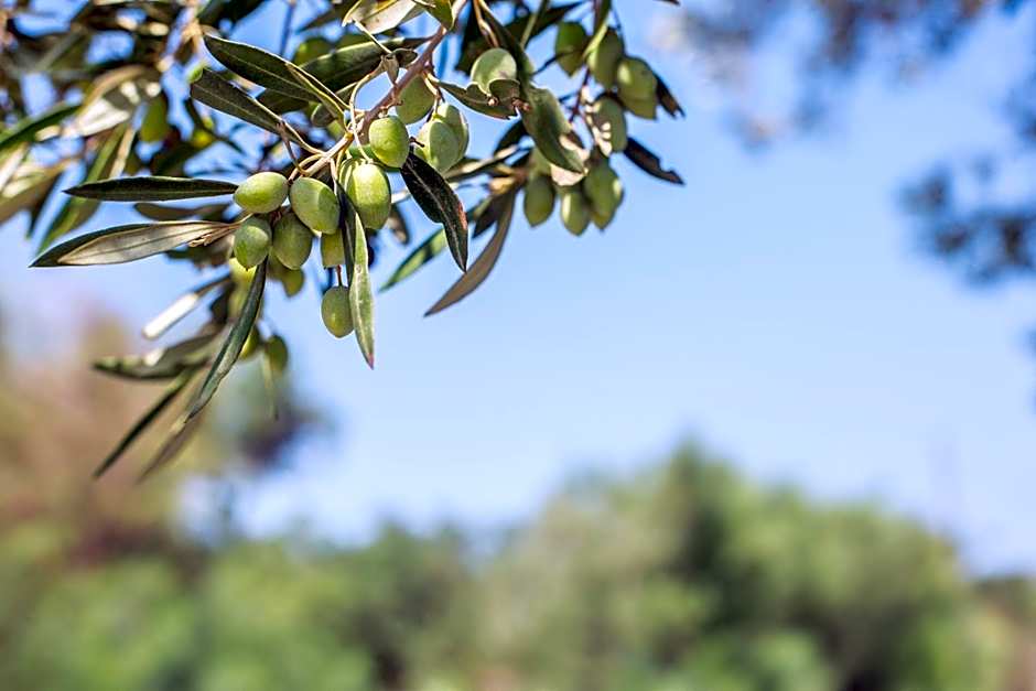 Oliven- & Genusshotel Hirzer