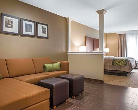 1 King Bed, Suite, Nonsmoking