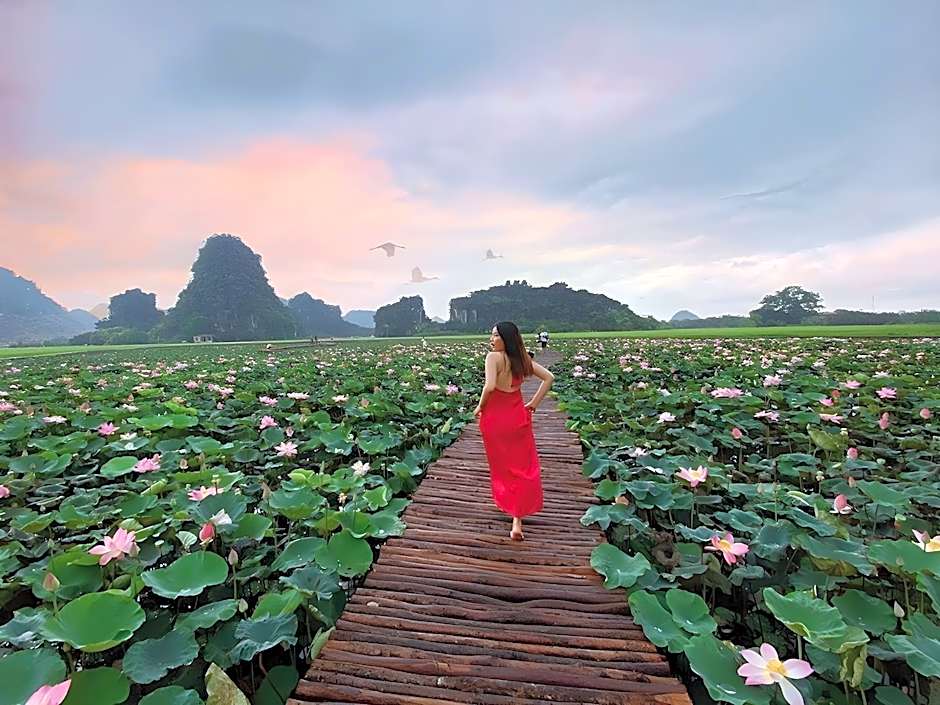 Yen Nhi Ninh Binh Hotel
