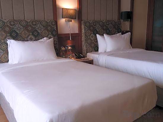 Photo 1 of 3 of Executive 2 Beds