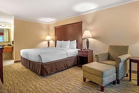 1 King Bed, Nonsmoking