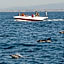 Boutique Hotel Marina S. Roque