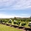 Bluebush Estate