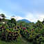 Dukuh Baturan Villa