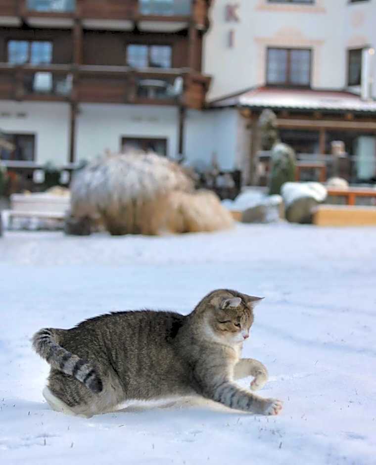 Alpejski Boutique Hotel