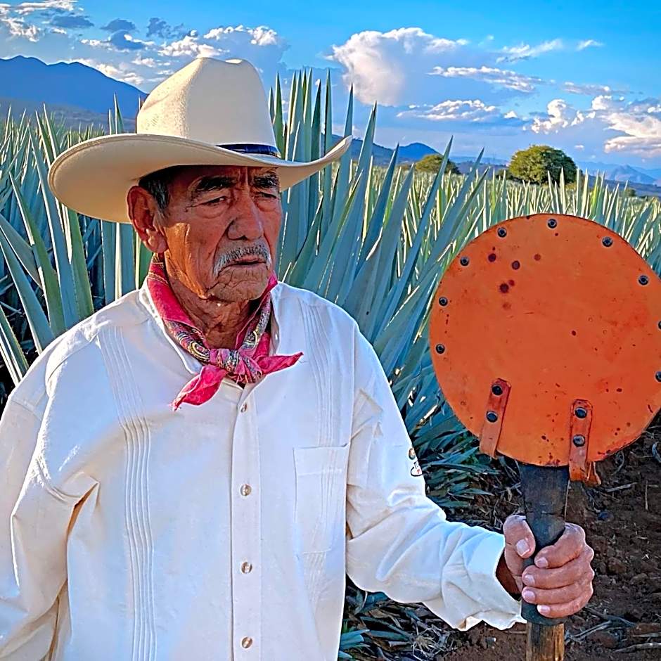 Matices Hotel de Barricas