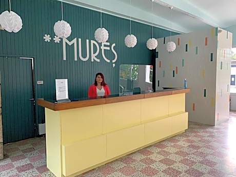 Hotel Mures