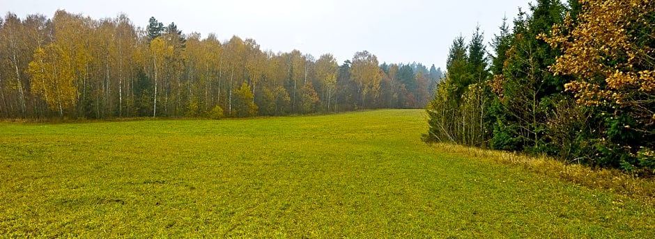 Pałac Pacółtówko