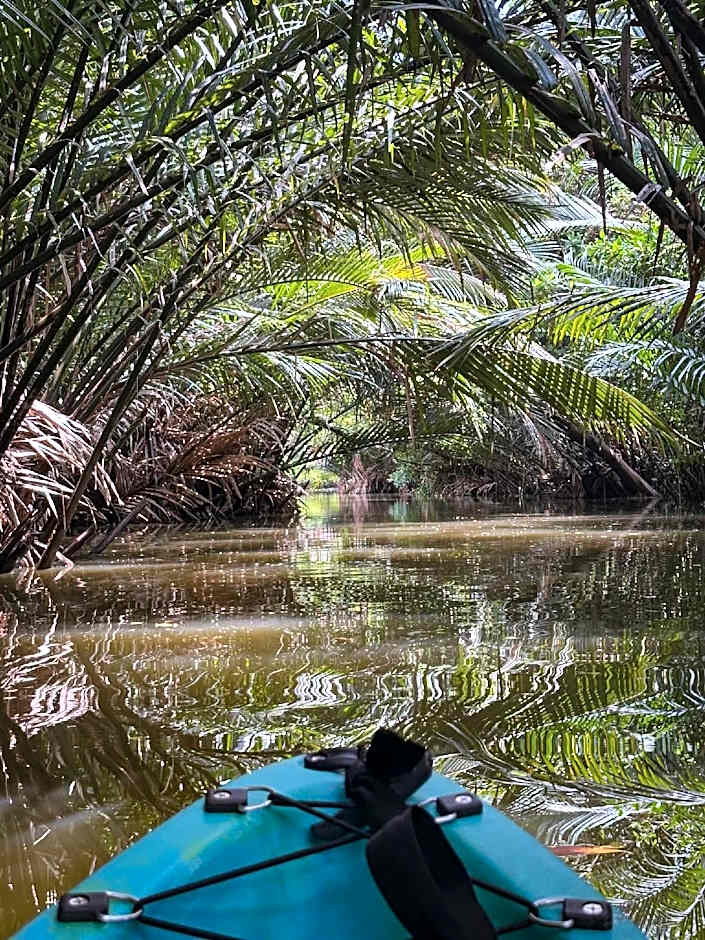 Baanrongmai Canal Front Cafe & Homestay 
