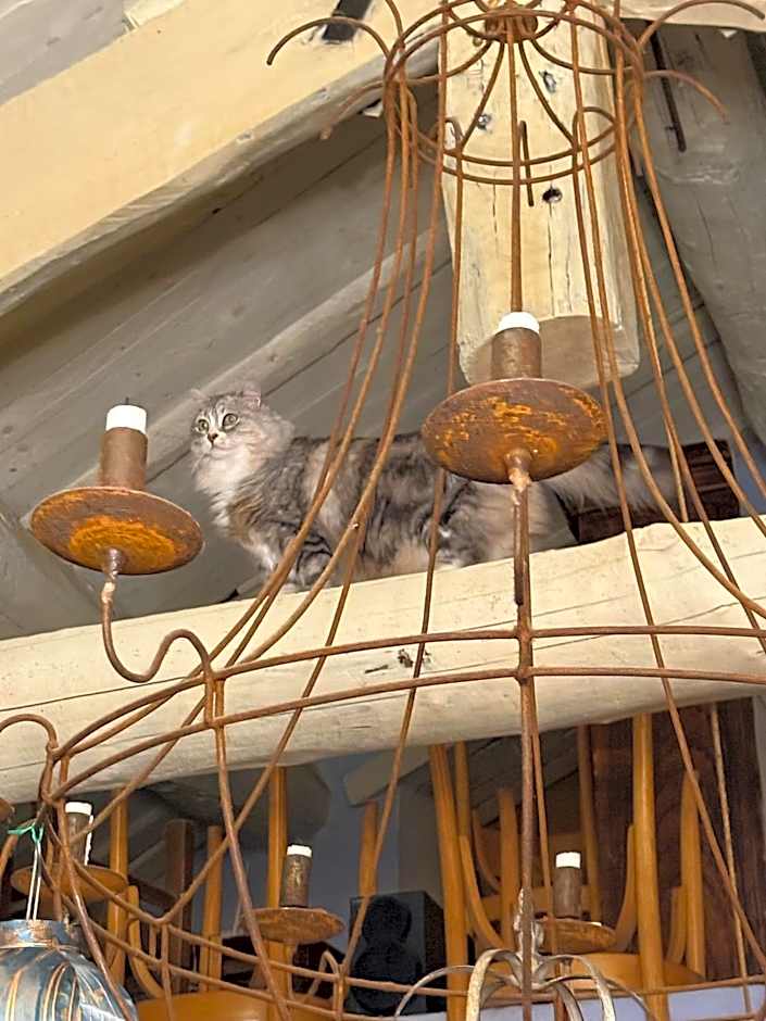 Viandanti, Artisti e Sognatori