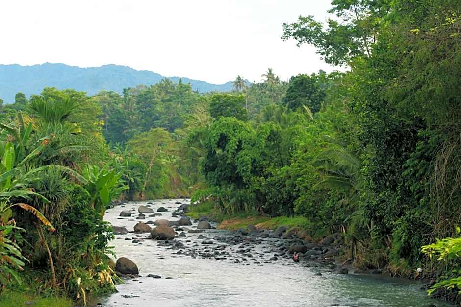 Jungle House - surf & stay