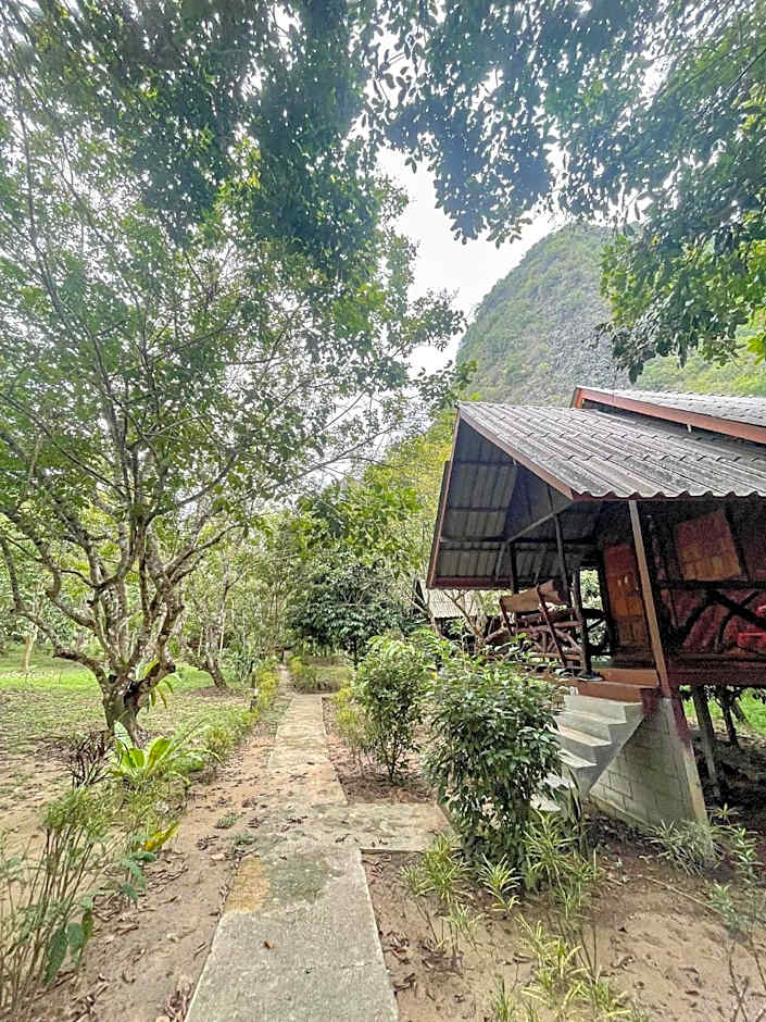 Khao Sok Green Mountain View