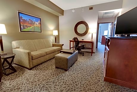 Deluxe King Suite