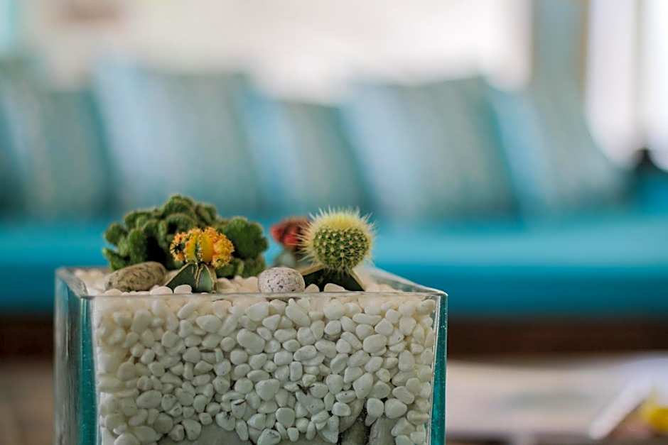 Miu Villa - Seminyak