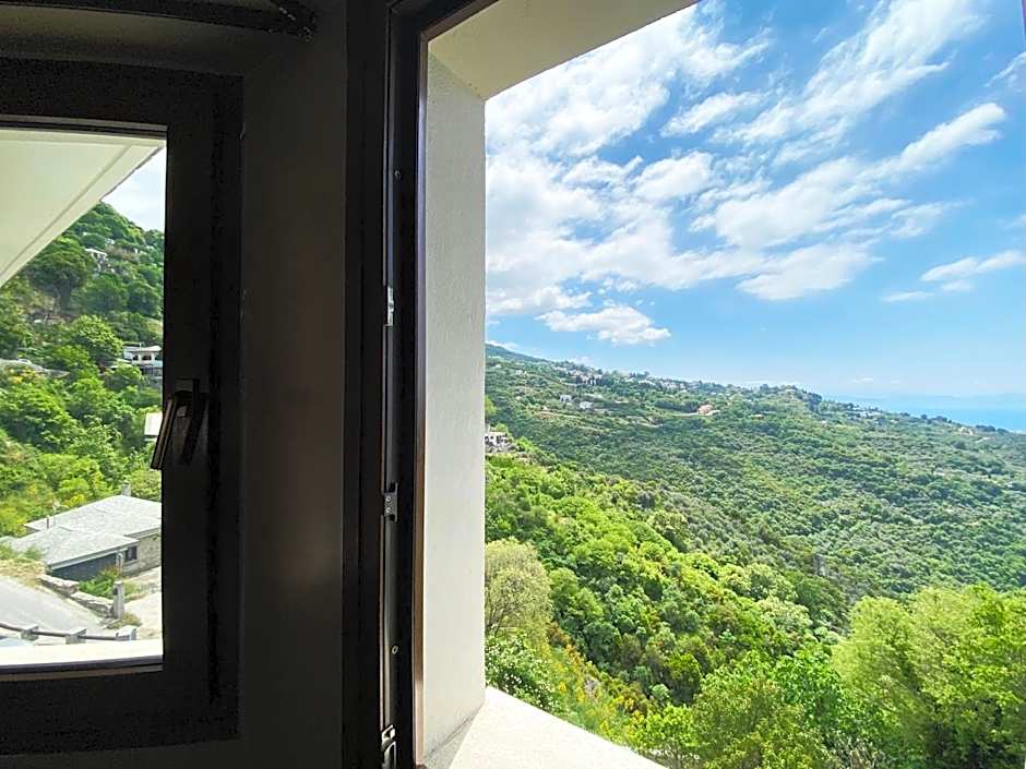 Archontika Karamarlis