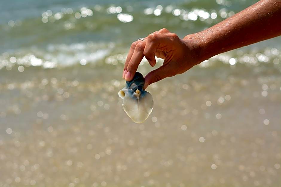 Florianópolis Pousada Moçambeach