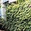 Dalat Boutique Hotel