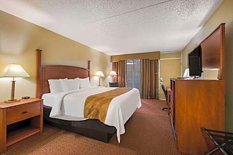 1 King Bed Nonsmoking Accessible