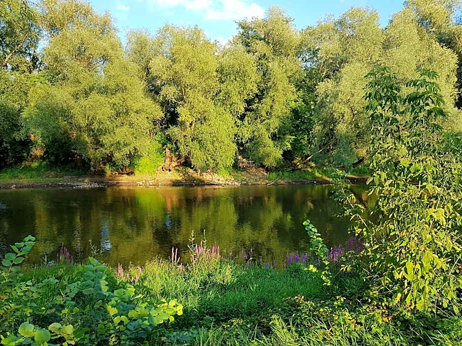 Viadrina Rooms & Apartments Frankfurt-Oder am Park im Zentrum