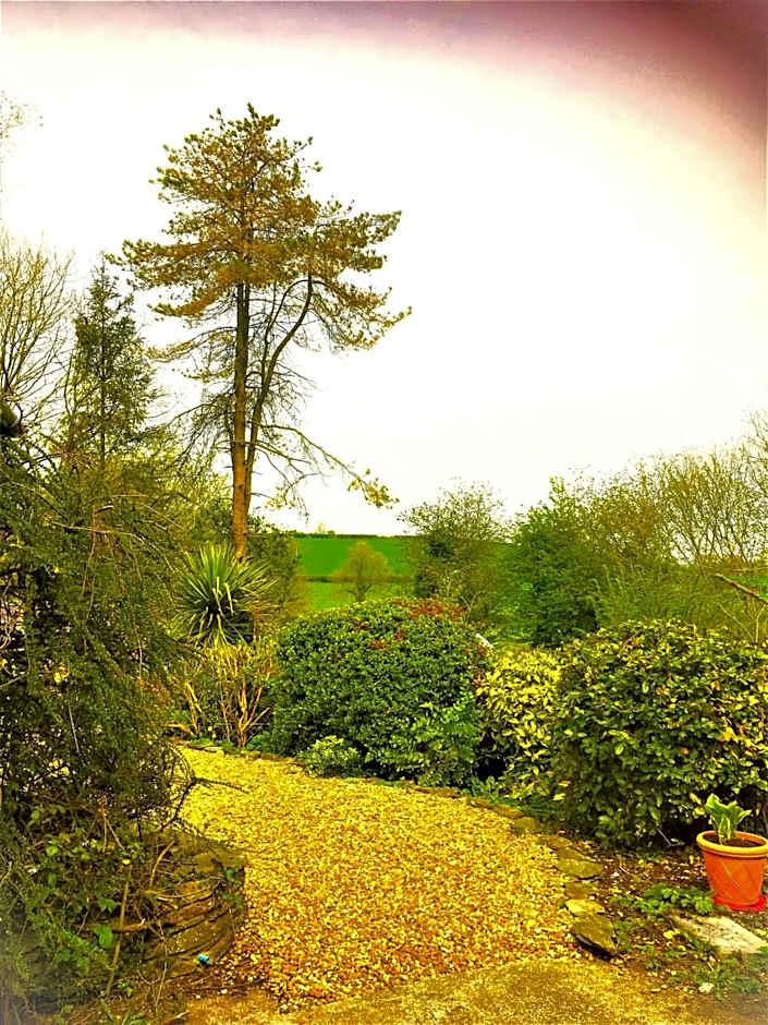 Heddfan (Place of Peace)