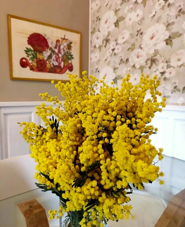 Bed&Breakfast Villa Camilla