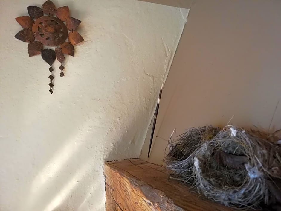 Casa delle ginestre
