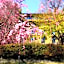 Diamond Kyoto Society