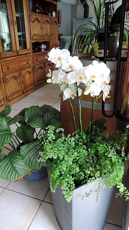 Les Chambres des Badious