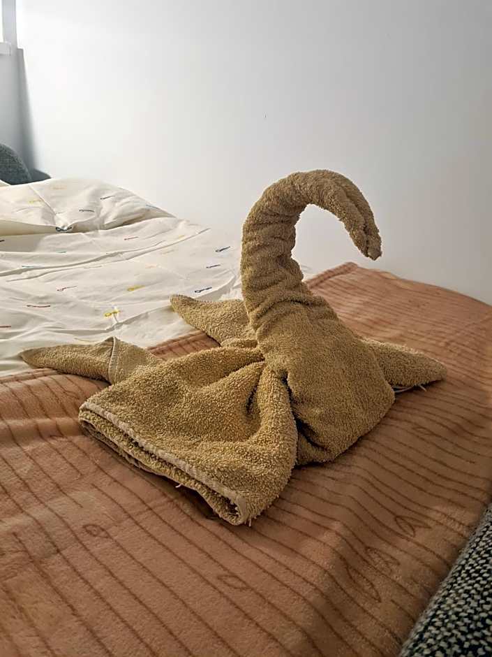 Sweet Home & Sweet Cats & Fast internet