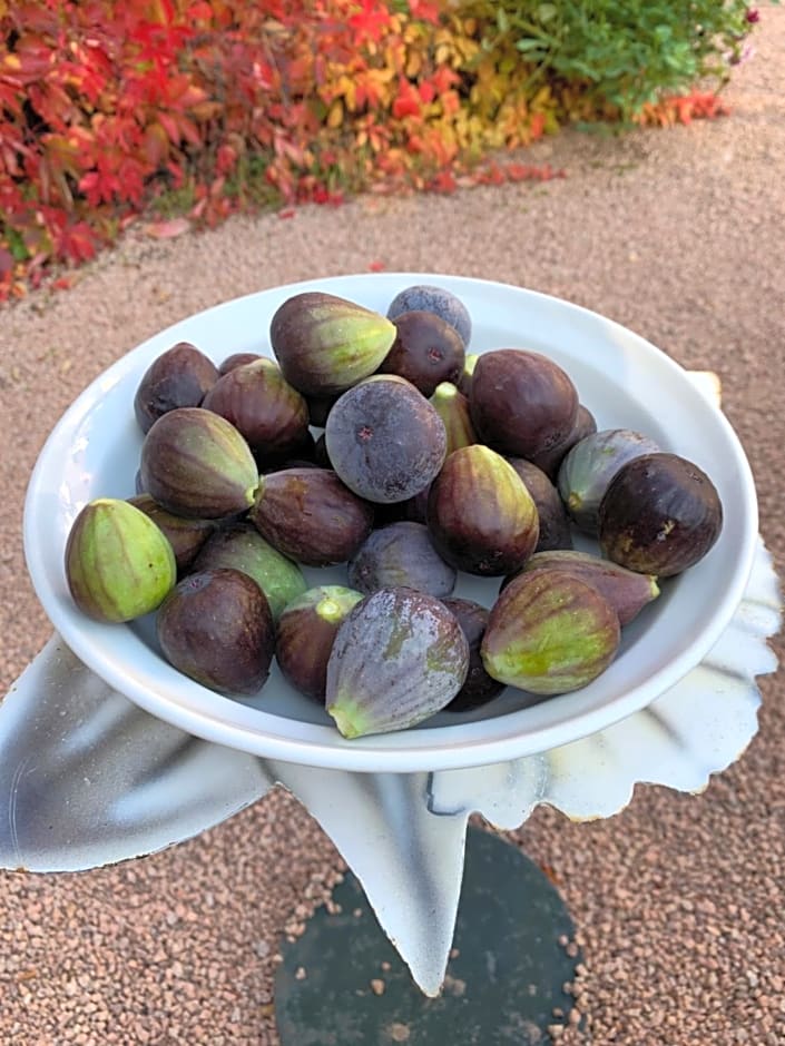 Château de Saint-Agoulin