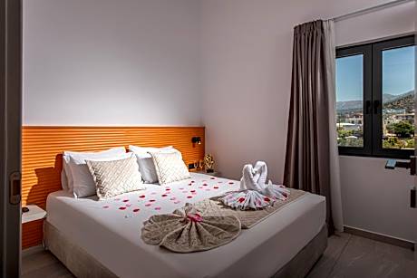 Double Room with Pool View