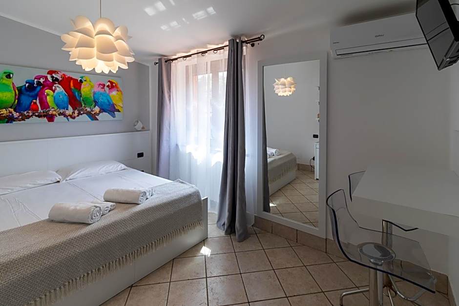 B&B Trepo