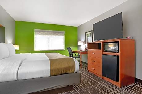 King Suite with Sofa Bed