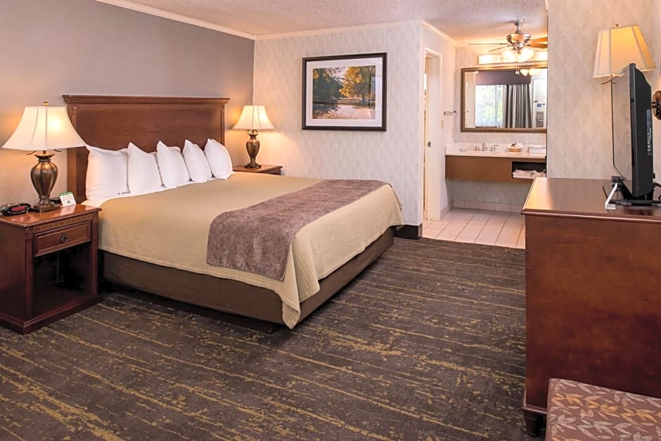 Best Western Plus Black Oak