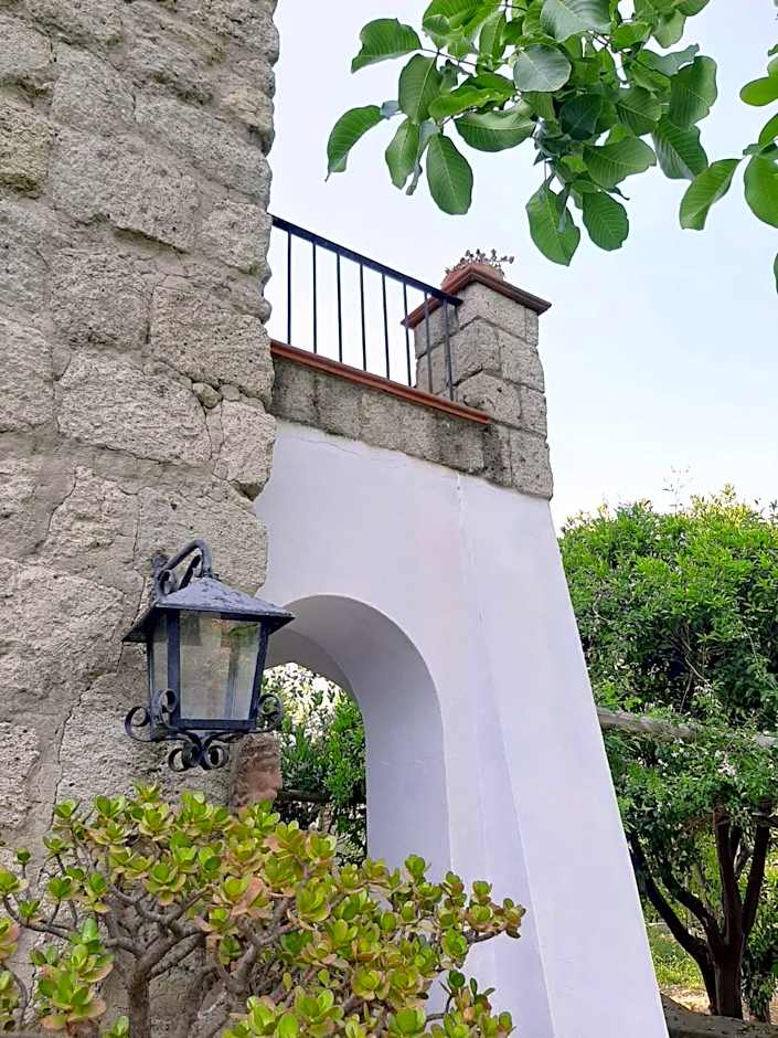 Il Vitigno di Dioniso