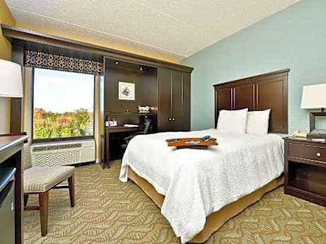 1 King Bed, Nonsmoking