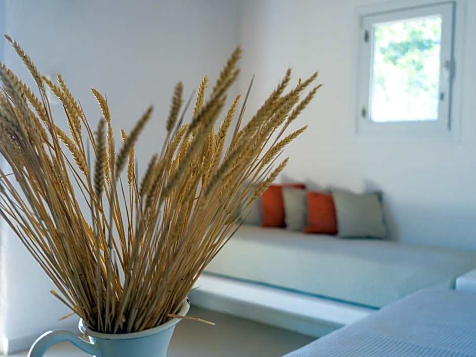 Rhenia Mykonos Hotel & Bungalows