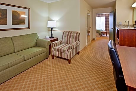 Suite King Bed Non Smoking