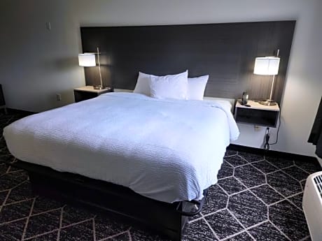 1 King Bed Non-Smoking