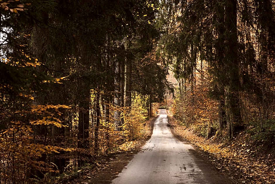 DAS ERZ Medical Spa & Hotel