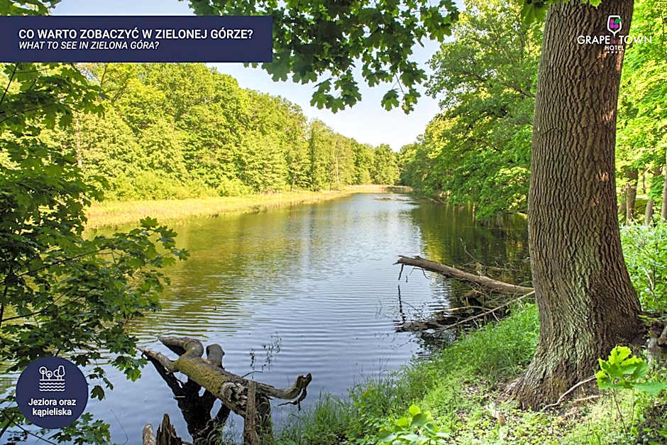 Grape Town Hotel - Park79