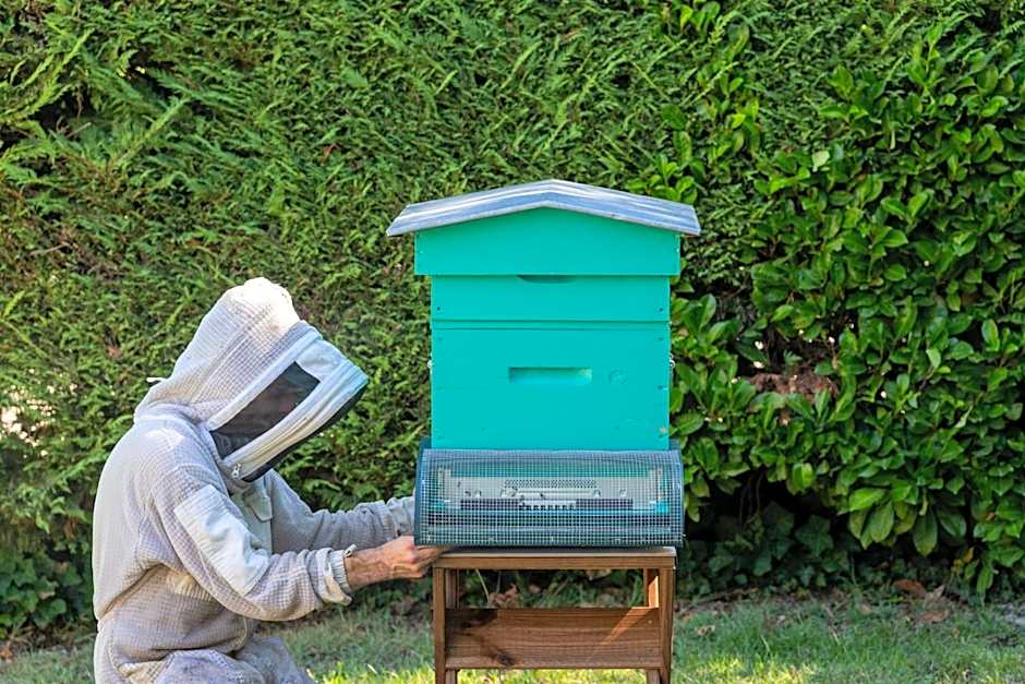 Hôtel des Trois Massifs