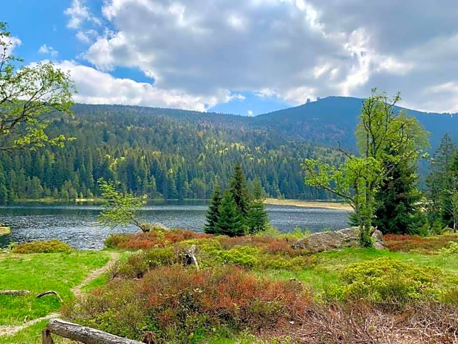 Hotel Waldfrieden "Das kleine Hotel"
