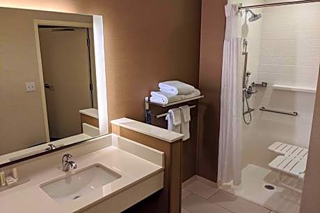 Suite, 1 King, Sofa bed